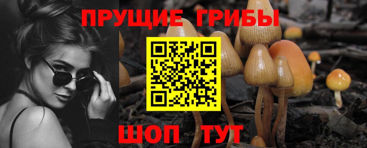 Галлюциногенные грибы прущие грибы Благовещенск