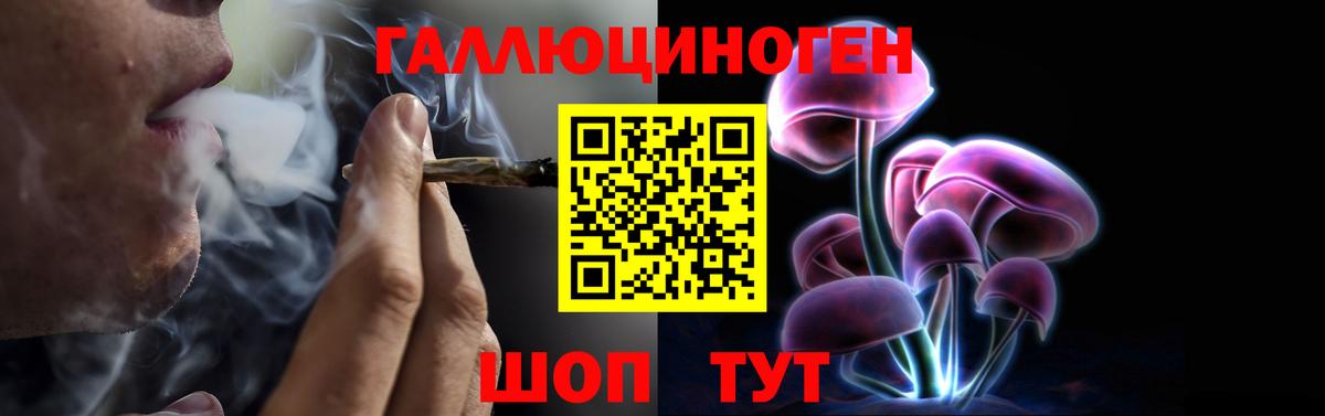 купить наркотики сайты  Псилоцибиновые грибы прущие грибы  Галлюциногенные грибы Magic Shrooms  Вход с VPN  Благовещенск 